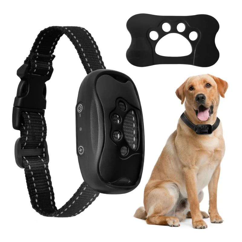 Anti-Bark Collar