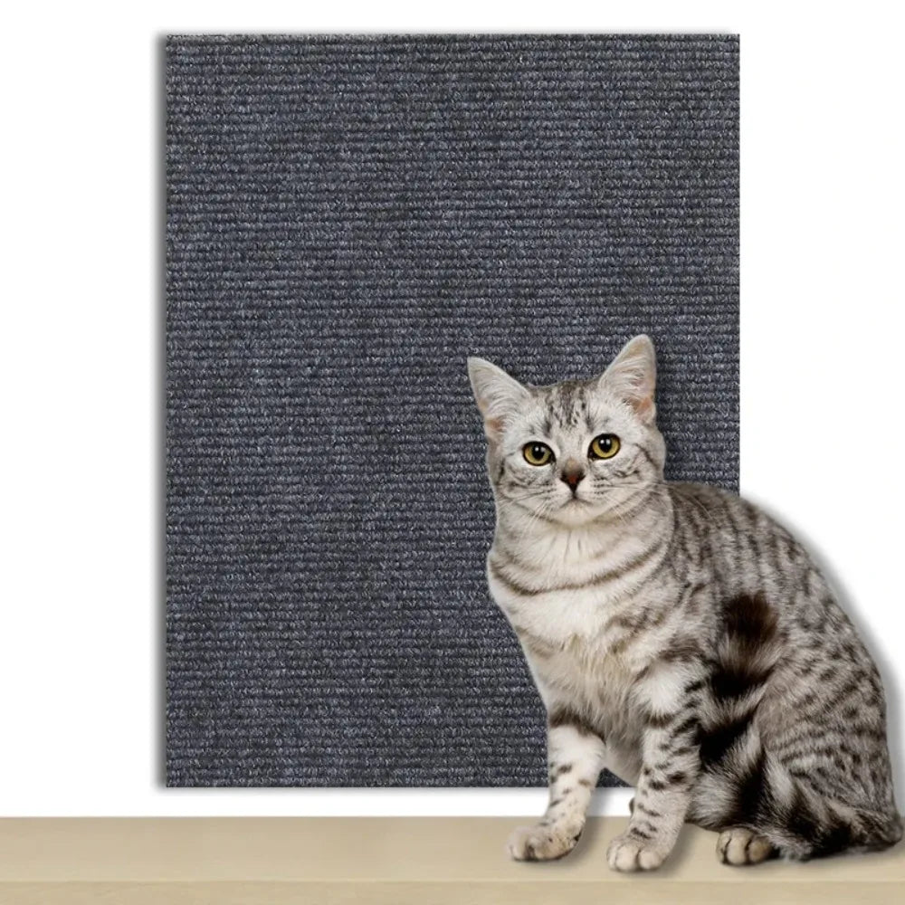 CATSTICKSHIELD – Self-adhesive protective plate for cats to protect furniture, walls & carpets