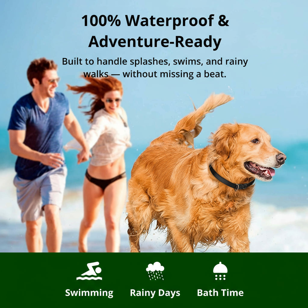 Charly | 1000m Waterproof Dog Training Collar | Rechargeable, Remote Control & Adjustable for Small, Medium, and Large Dogs