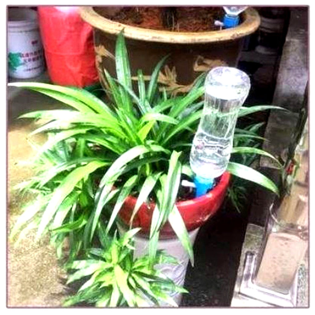 Charly | Adjustable Flow Plant Watering Spikes - Garden Automatic Irrigation