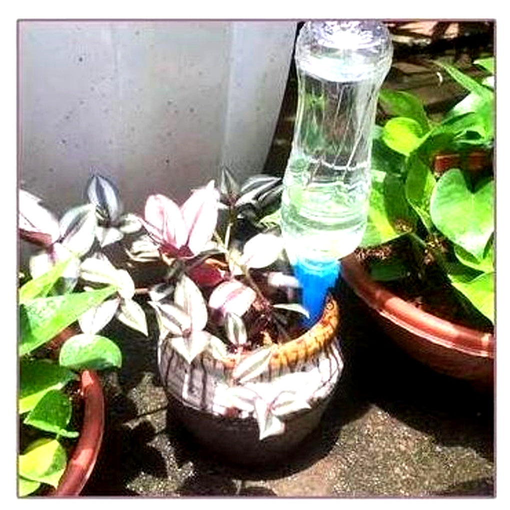 Charly | Adjustable Flow Plant Watering Spikes - Garden Automatic Irrigation