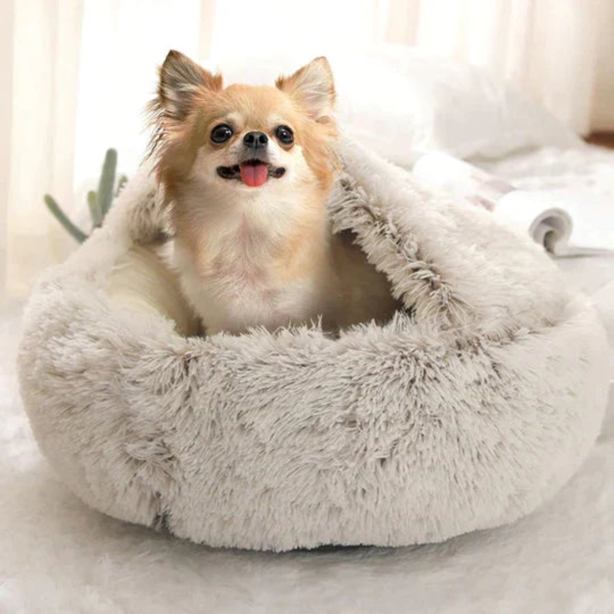 Charly | Cozy Cave Pet Bed | Calming & Comfortable Dog Bed for Deep Relaxation