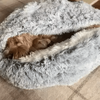 Charly | Cozy Cave Pet Bed | Calming & Comfortable Dog Bed for Deep Relaxation