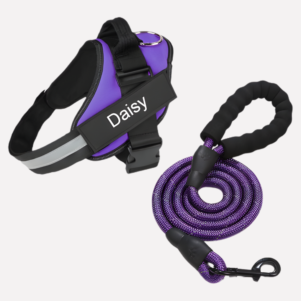 Charly | Customizable Anti-Pull Dog Harness