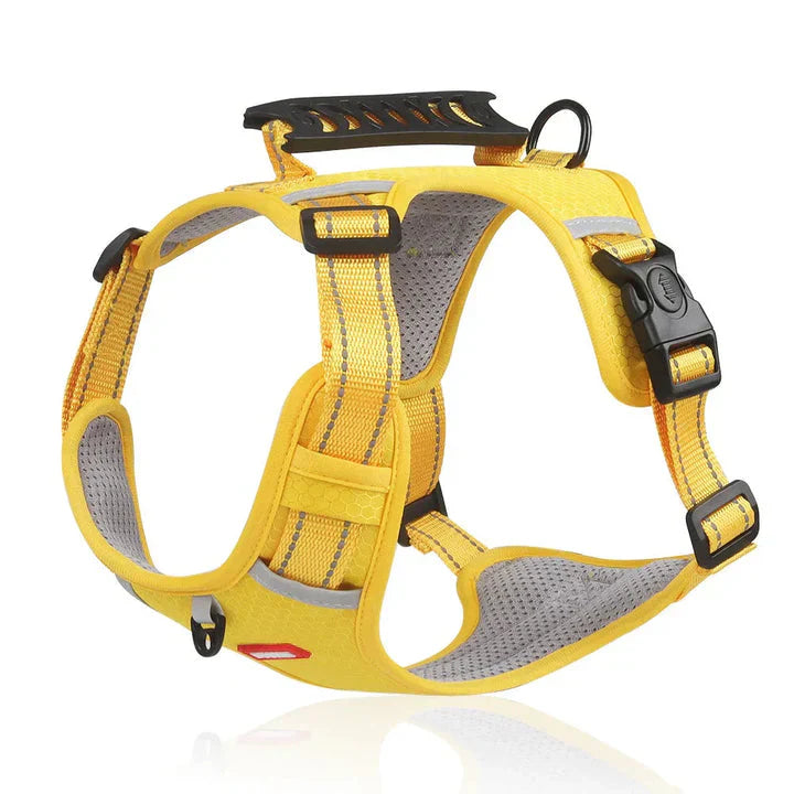 Charly | Dog No-Pull Harness with Padded Comfort and Control Handle
