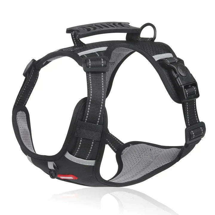 Charly | Dog No-Pull Harness with Padded Comfort and Control Handle