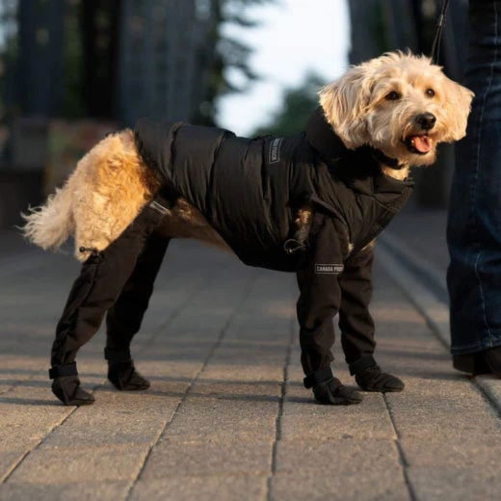 Charly | Dog Paw Protection Boots for Outdoor Adventures
