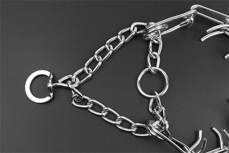 Charly | Dog Pincher Collar - Style B