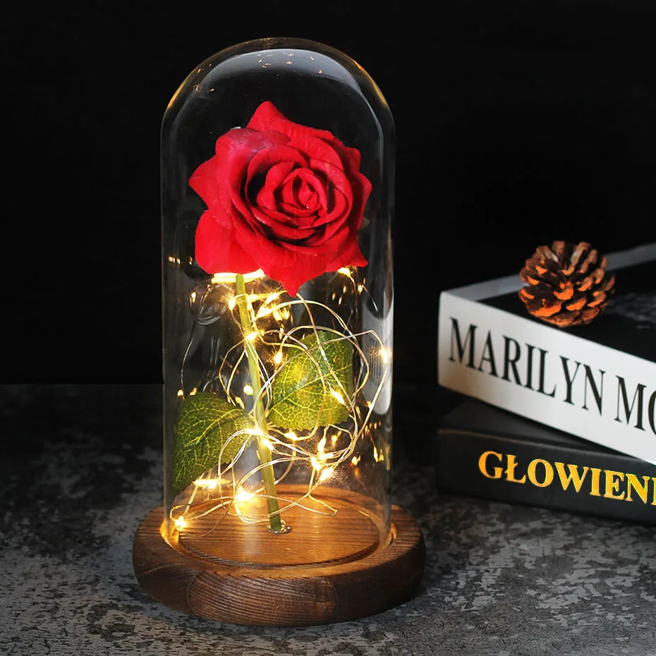 Charly – Eternal Rose in Glass Dome with Atmospheric LED Lighting