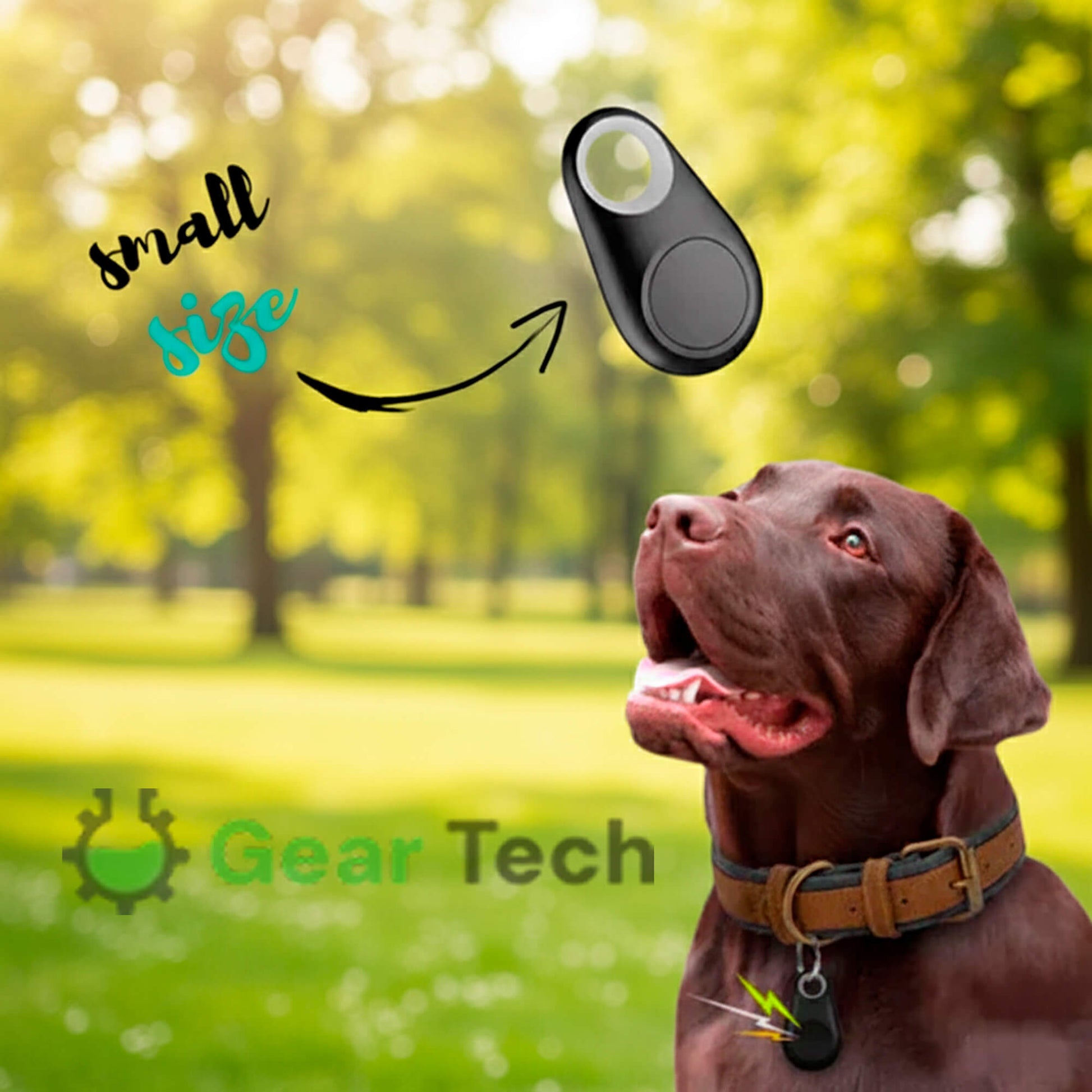 Charly | GPS Dog Tracking | Waterproof, Real-Time Location & Safety Zone Alerts for Outdoor Adventures