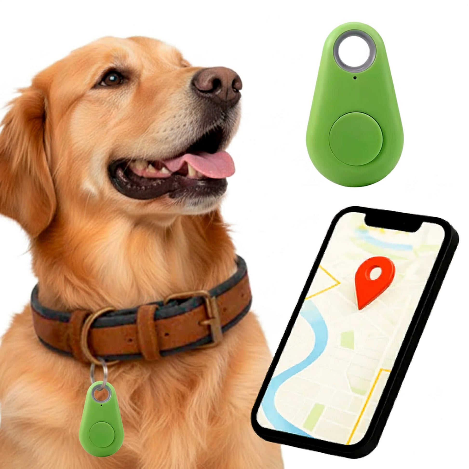 Charly | GPS Dog Tracking | Waterproof, Real-Time Location & Safety Zone Alerts for Outdoor Adventures