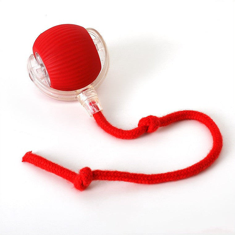 Charly | Interactive Rolling Ball Toy with Tail for Dogs