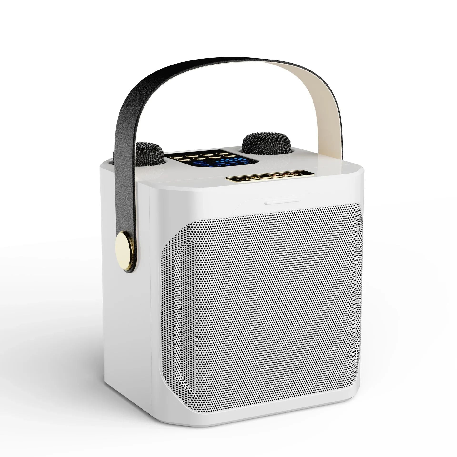 Charly | Karaoke Bluetooth Speaker – 360° Surround Wireless Subwoofer with Dual Mics