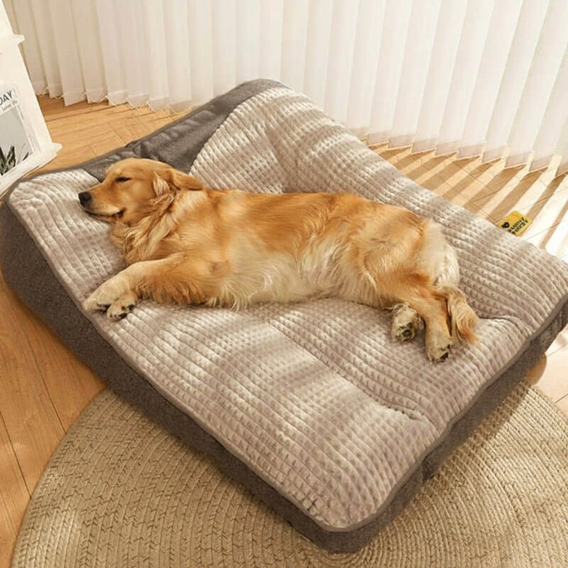 Charly | Large Scratch-Resistant Dog Bed with Orthopedic Back Support