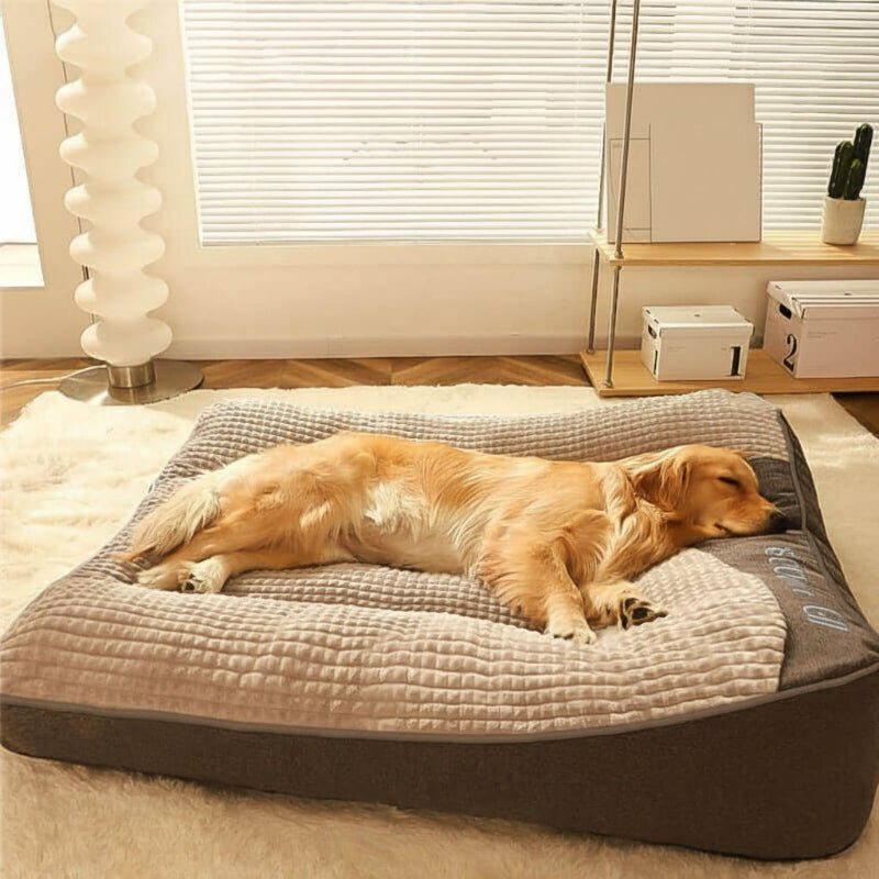 Charly | Large Scratch-Resistant Dog Bed with Orthopedic Back Support