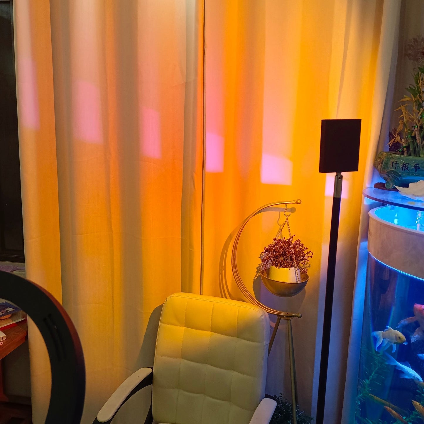 Charly | LED Color Projector Floor Lamp | Minimalist Halo Light Effect