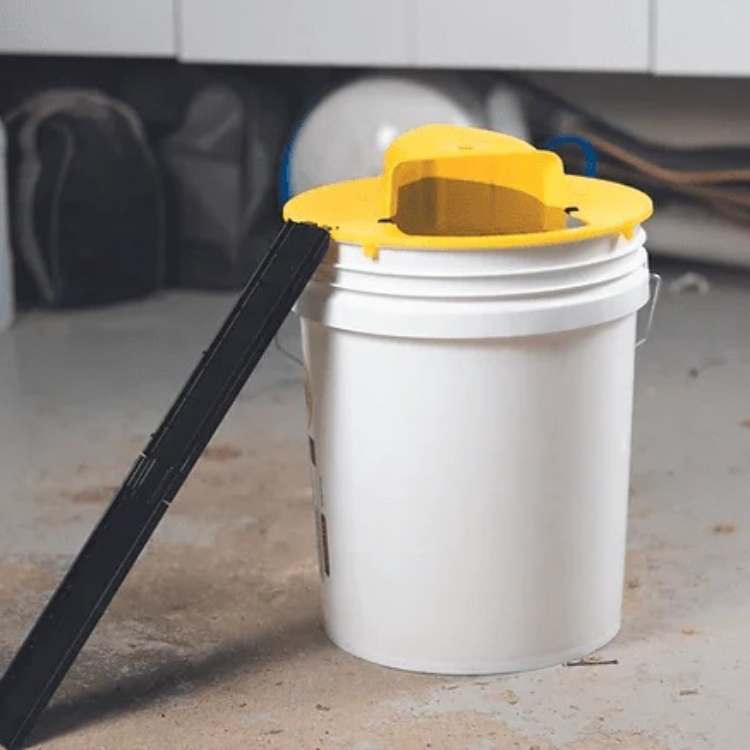 Charly | Mouse Trap Multi-Catch | Automatic Tilting Function | Safe for Children and Pets