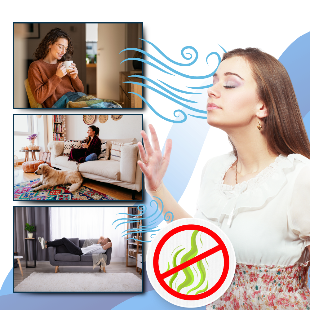 Charly | Multi-Surface UV Disinfectant Bulb – Strongest Bed Bug Killer for Home & Travel Use