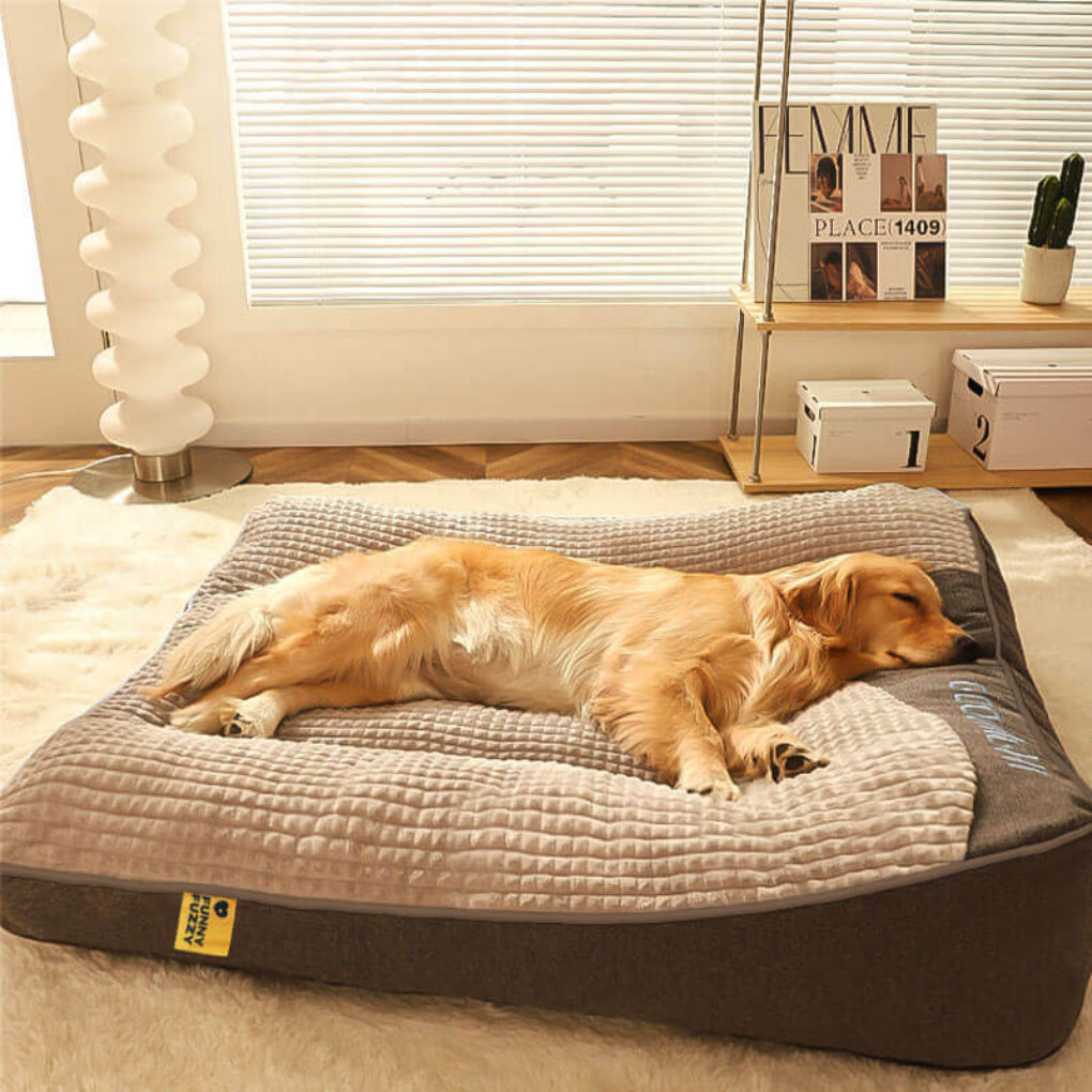 Charly | Orthopedic Dog Bed with Supportive Cushion