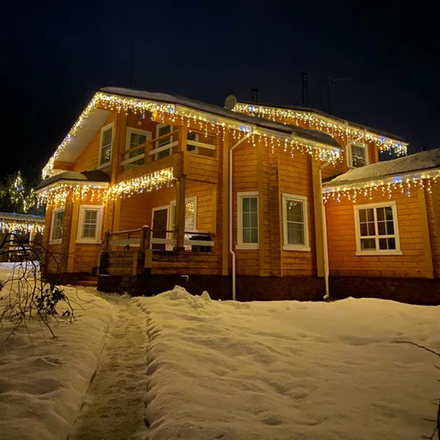Charly | Outdoor LED Christmas Decoration Lights