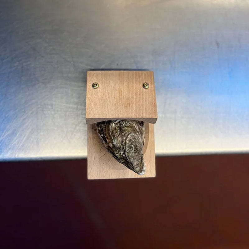 Charly | Premium wood handle oyster shell opener clamp