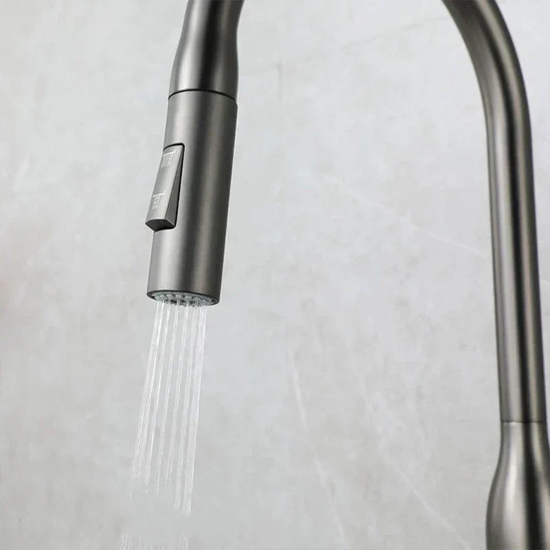 Charly | PureFlow - Kitchen Faucet with Pull-Down Spray