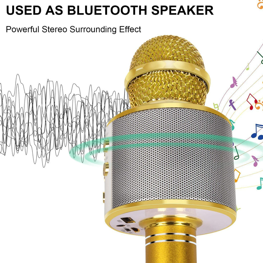 Charly | Rechargeable Wireless Bluetooth Karaoke Microphone