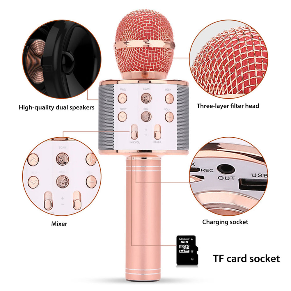 Charly | Rechargeable Wireless Bluetooth Karaoke Microphone