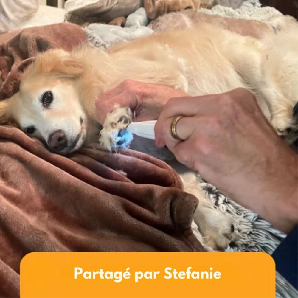 Charly | SilentPet Trimmer – Silent fur trimmer for sensitive areas on dogs & cats