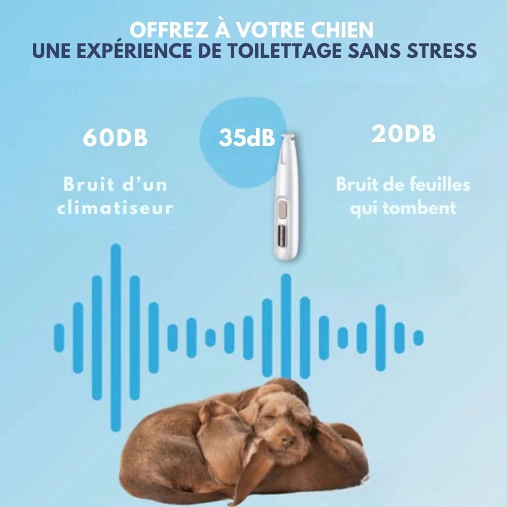 Charly | SilentPet Trimmer – Silent fur trimmer for sensitive areas on dogs & cats
