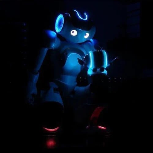 Charly | Smart Robot Toy for Kids | ThinkBot Interactive Learning Robot | Gesture Control | Dancing & Talking | Rechargeable
