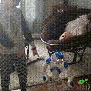 Charly | Smart Robot Toy for Kids | ThinkBot Interactive Learning Robot | Gesture Control | Dancing & Talking | Rechargeable