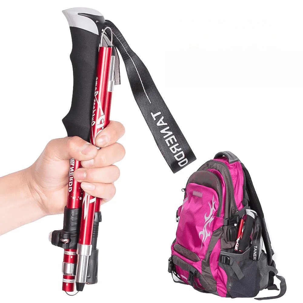 Charly | Telescopic Walking Sticks - TrailMaster