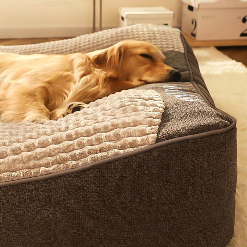 Charly | Thick scratch-resistant spine protection dog bed