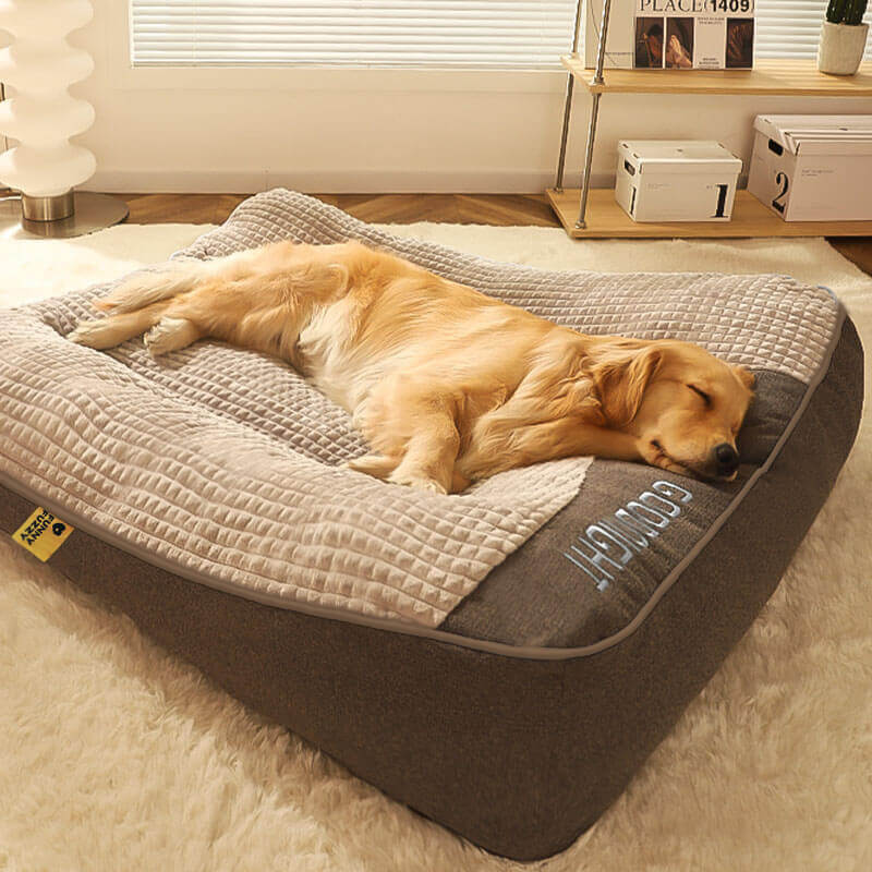 Charly | Thick scratch-resistant spine protection dog bed