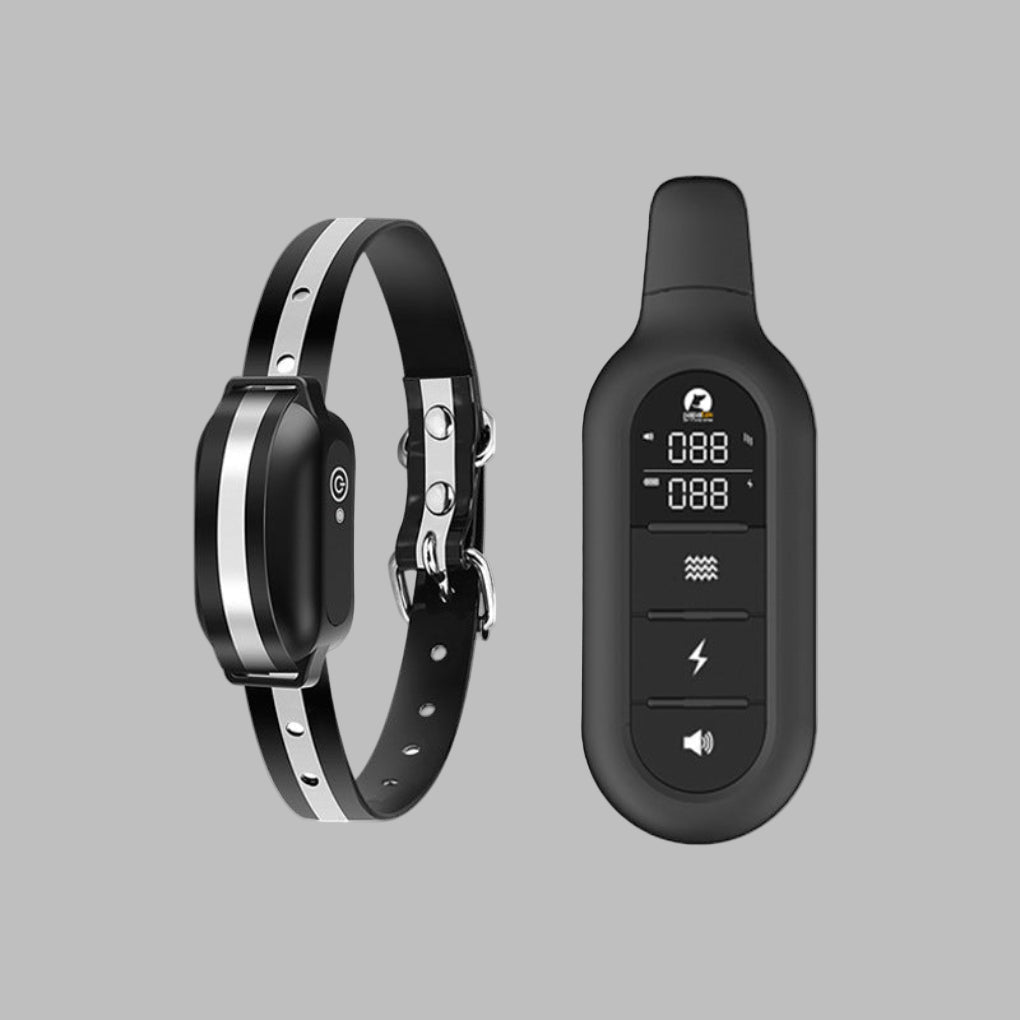 Charly | Training Collar for Dogs with Remote 1000m