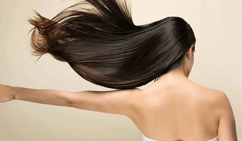 Charly | Ultra-Light Professional Hair Dryer | High-Speed Ionic Technology Salon Hair Dryer