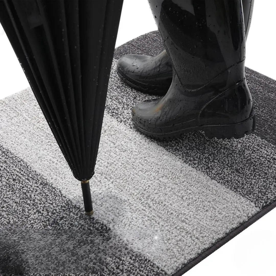 Charly | Washable Door Mat for Entrances with Water-Absorbing Design