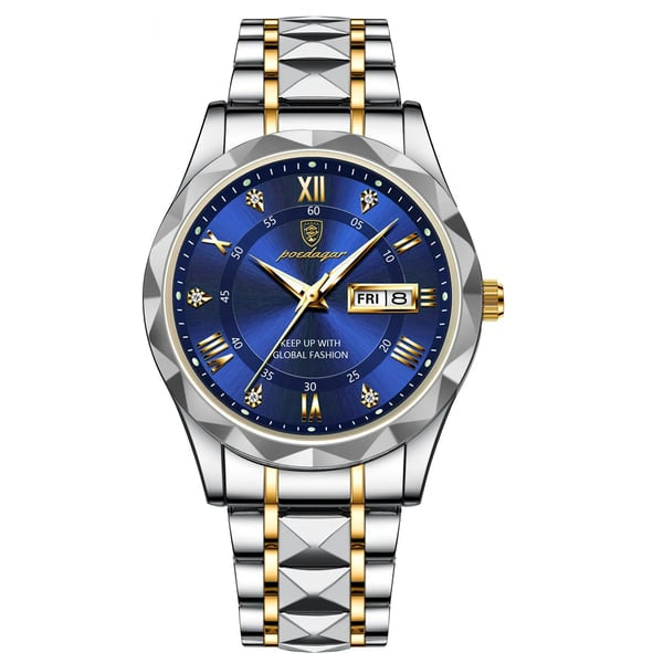 Charly | Waterproof Luxury Men's Watch From the Top Brand with Luminous Function