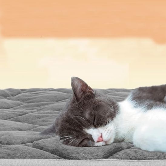 heating mat for cats