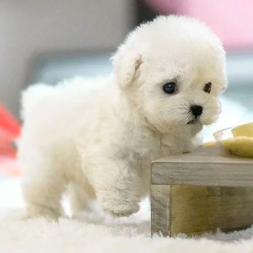 LumiPaws Interactive Plush Puppy With Realistic Movements And Touch Response