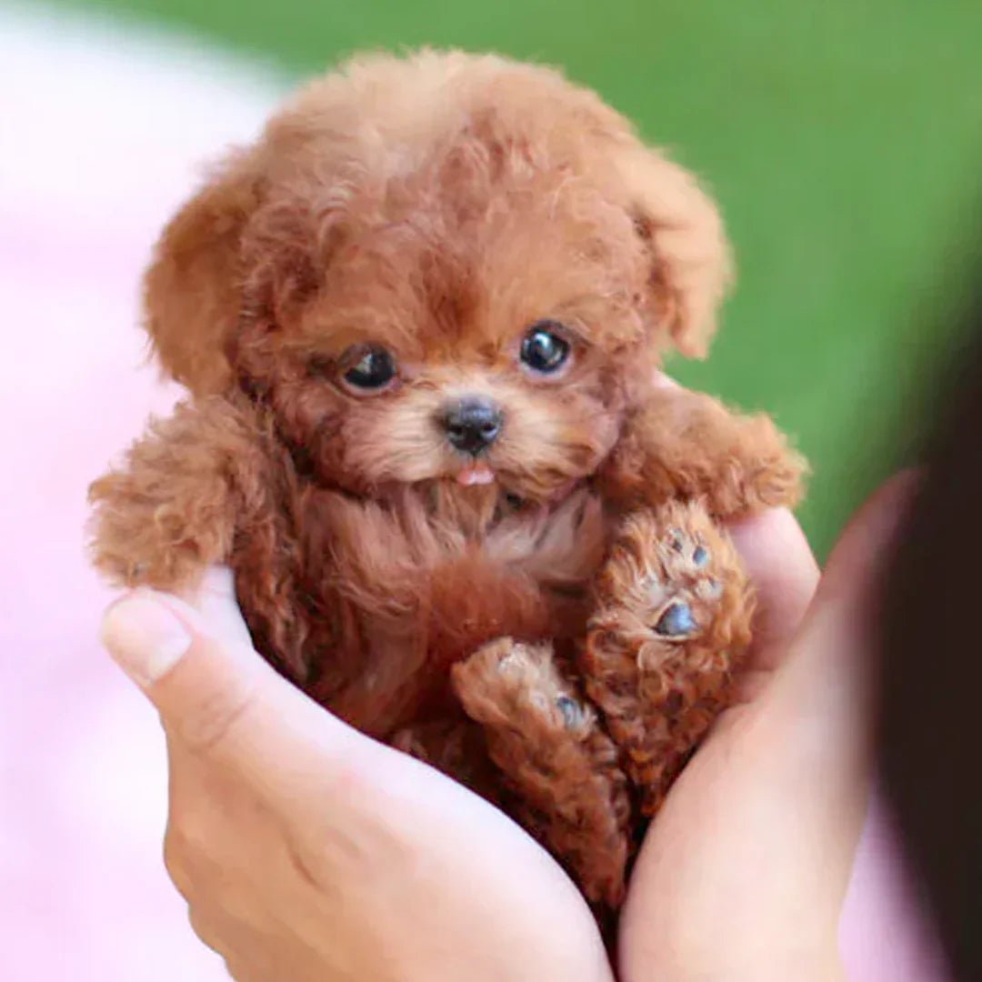 LumiPaws Interactive Plush Puppy With Realistic Movements And Touch Response