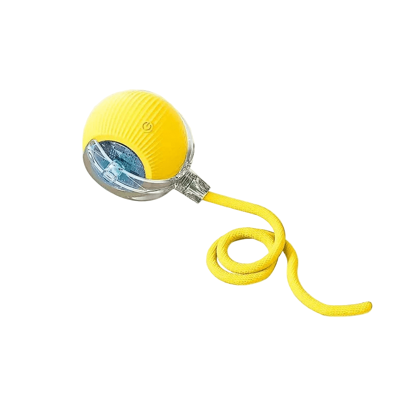 PLAYPET Interactive Dog Ball – Rechargeable Bouncing Ball