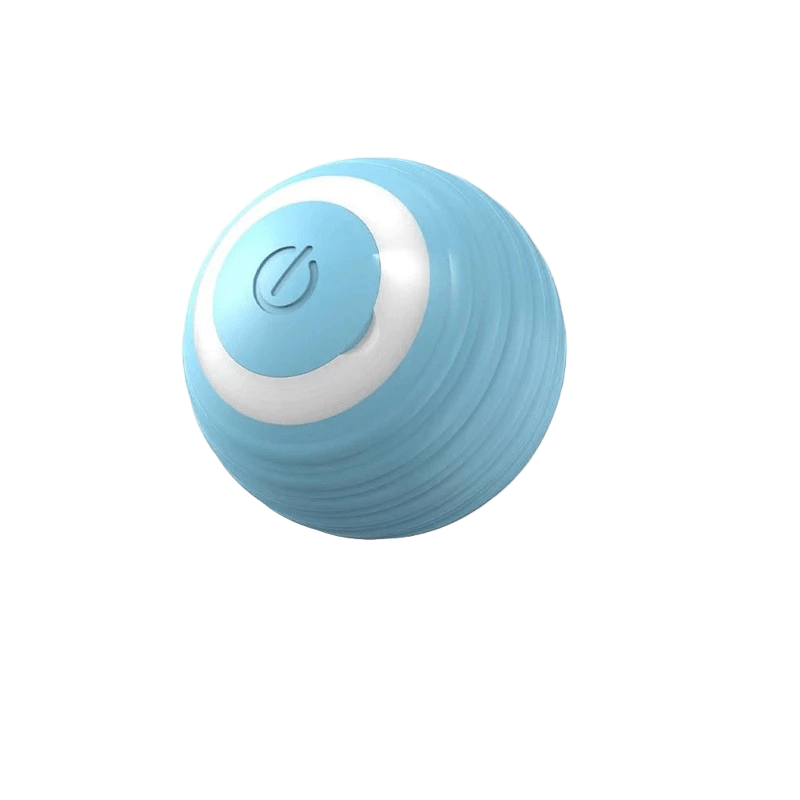 PLAYPET Interactive Dog Ball – Rechargeable Bouncing Ball