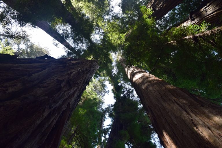 The Thrill of Embracing the Unknown: A Guide to Unplanned Adventures